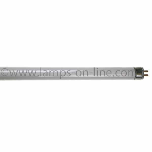 T5 High Output for Displaying Meat
