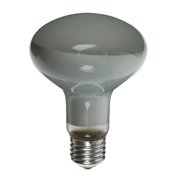 40w ES Screw In E27 Spotlight Reflector Light Bulb R80 Frosted Pearl 4 10 Bulbs