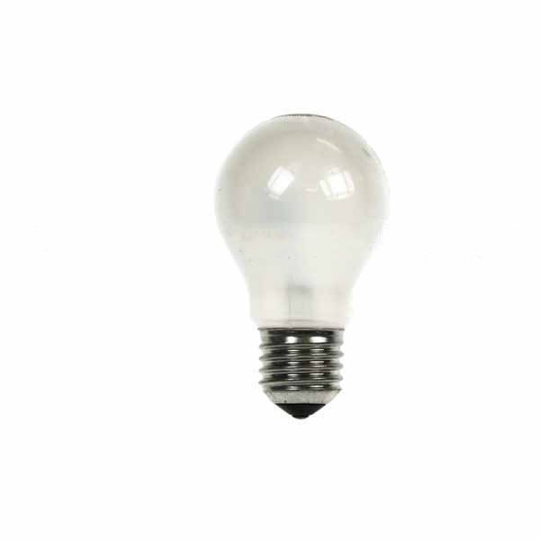 GLS Light Bulb 110/120V 60W E27 Frosted