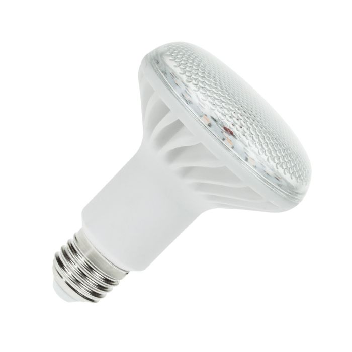 PRO LITE LED R80 12W E27 3000K Warm White | Lamps-on-line