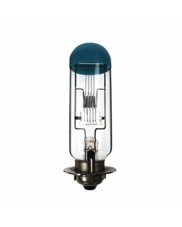 Projector Bulb 240V 1000W P46S