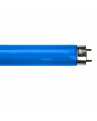 BLUE  FLUORESCENT TUBE LT18W/018 2FT T8 18W