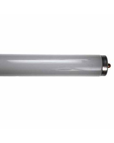 Fluorescent Tube F72T8/CW 6ft 38w single pin