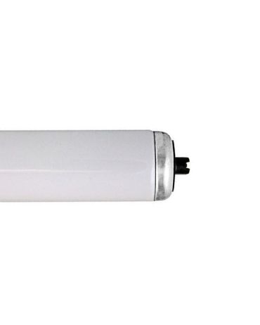 Fluorescent Tube F96 T12 CW HO 110W R17D