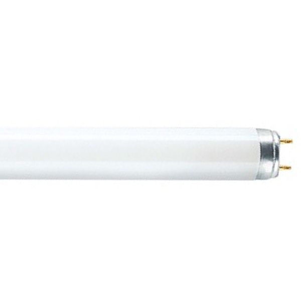 Tube Fluorescent OSRAM Lumilux LU 18W/830 - Format U, Lumière Blanc Chaud - 1350 Lumens - Neuf